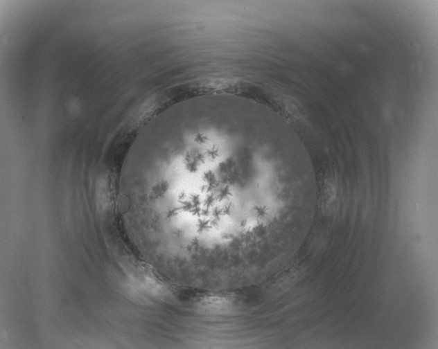 X0000078240236200611101043