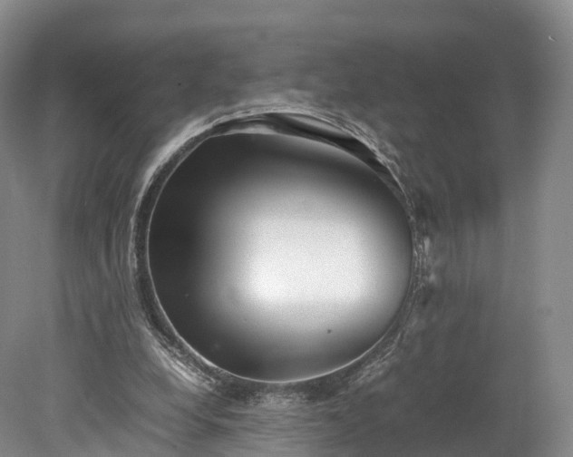 X0000078240248200611101043