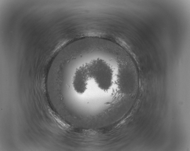 X0000078240249200611101043