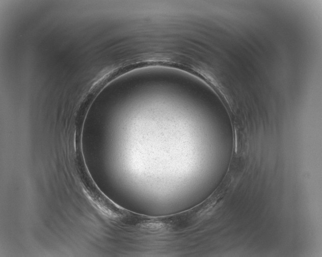 X0000078240253200611101043