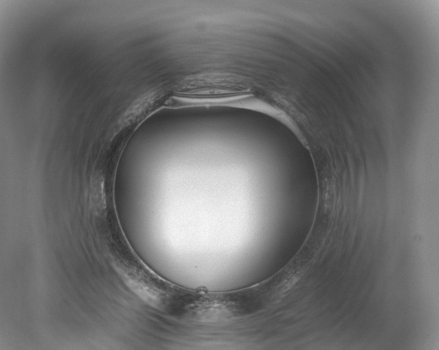 X0000078240254200611101043