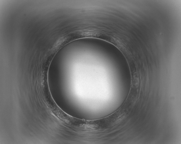 X0000078240255200611101043