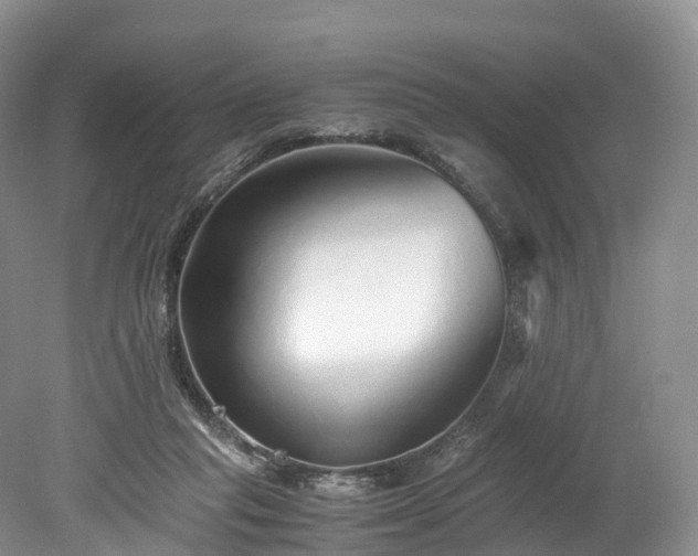 X0000078240261200611101043
