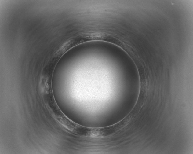 X0000078240264200611101043