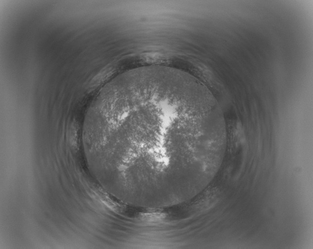 X0000078240266200611101043