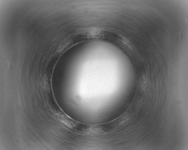 X0000078240270200611101043