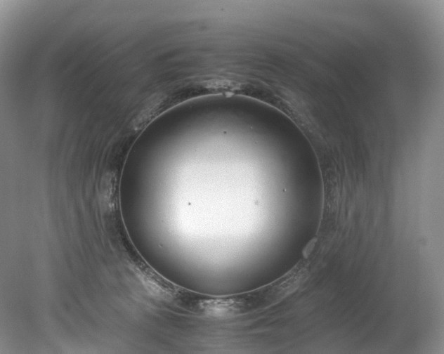 X0000078240273200611101043