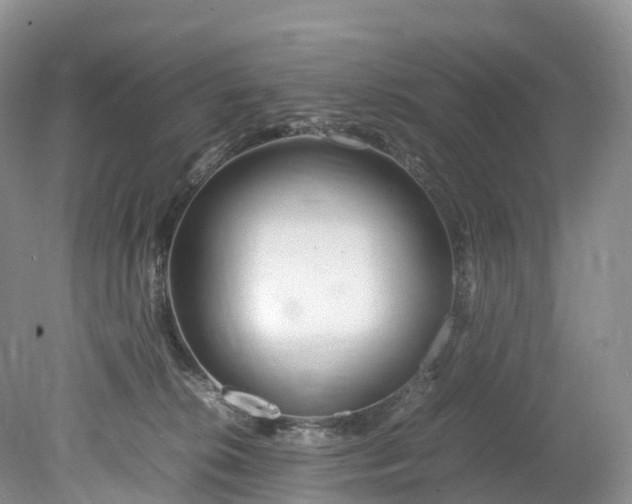 X0000078240276200611101043