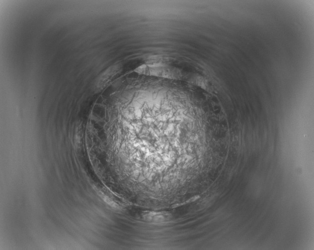 X0000078240277200611101043