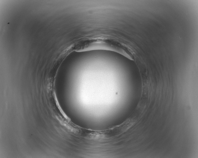 X0000078240284200611101043