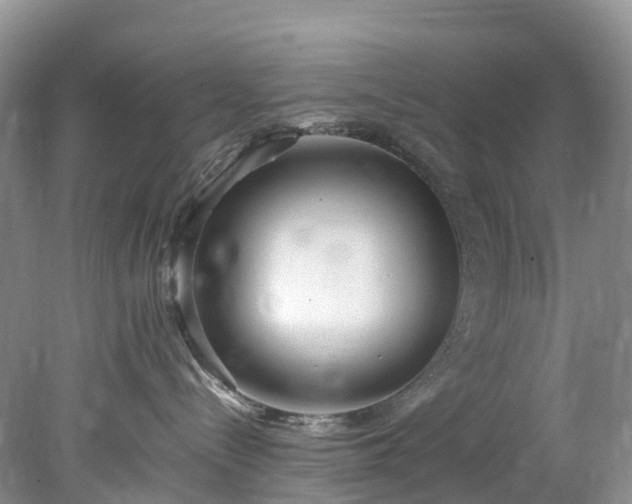 X0000078240288200611101043