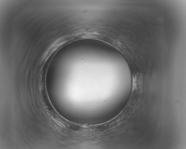 X0000078240291200611101043