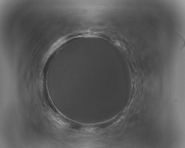 X0000078240295200611101042