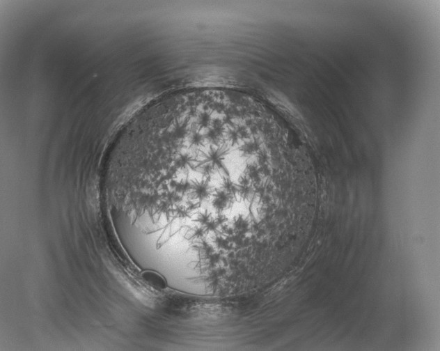 X0000078240298200611101042