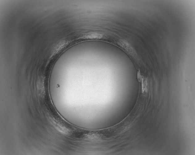 X0000078240300200611101042
