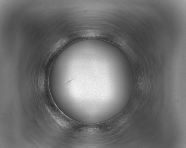 X0000078240304200611101042