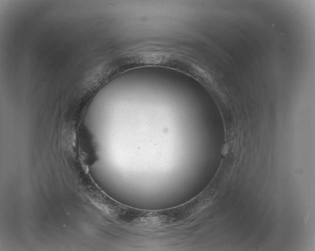 X0000078240307200611101042