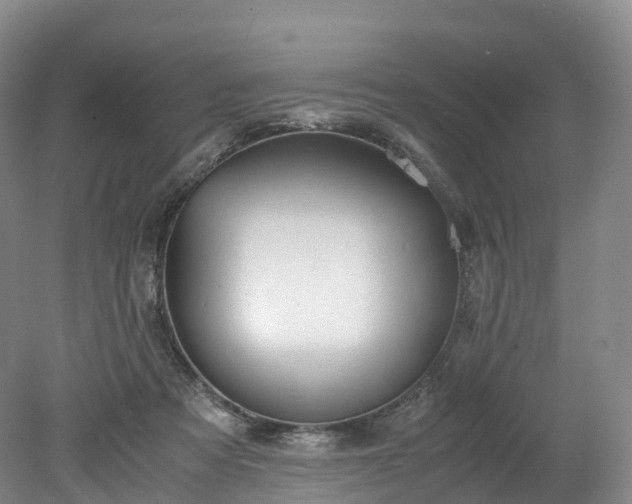 X0000078240313200611101042