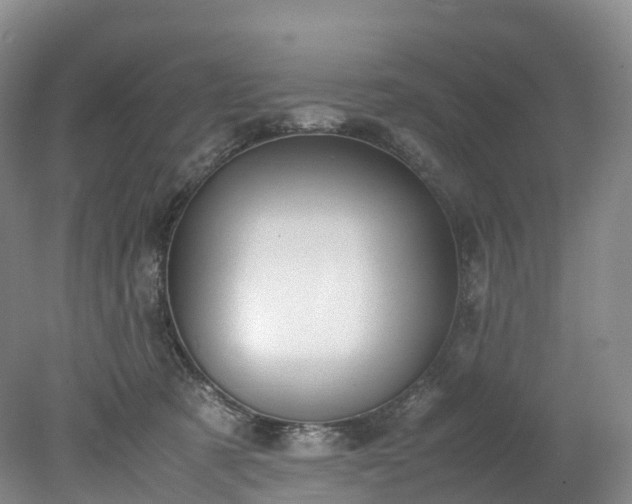 X0000078240321200611101042