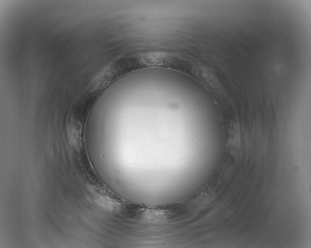 X0000078240332200611101042
