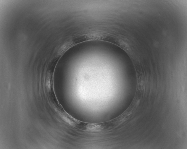 X0000078240334200611101042