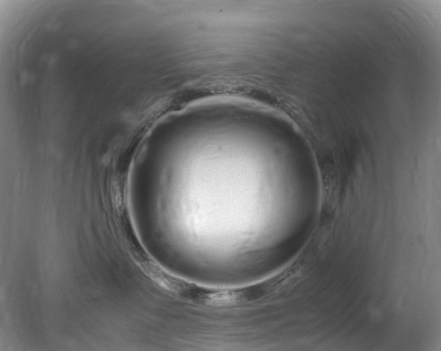 X0000078240335200611101042