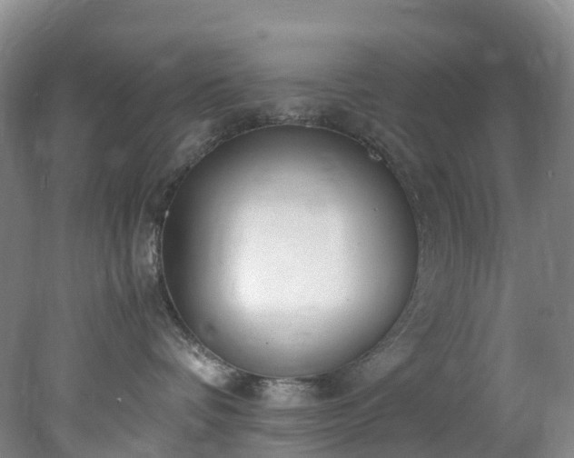 X0000078240336200611101042
