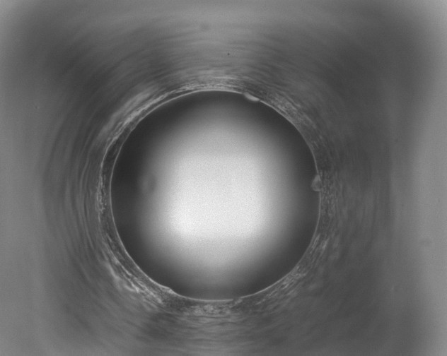 X0000078240338200611101041