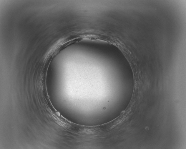 X0000078240341200611101041