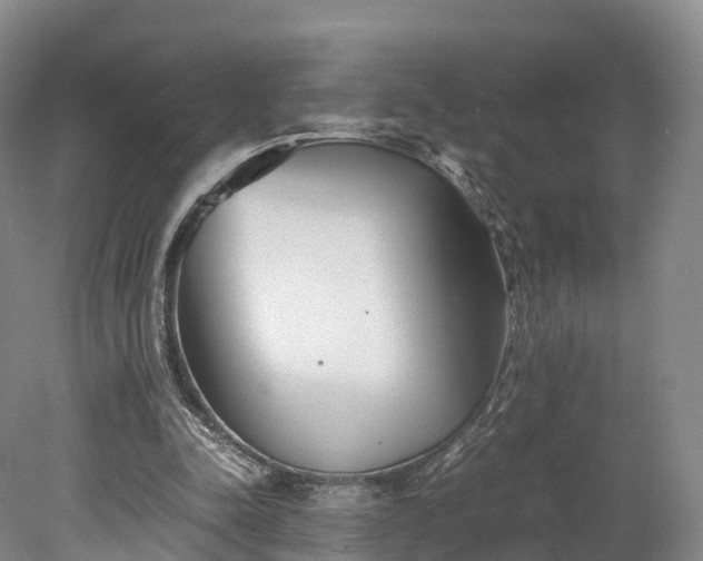 X0000078240342200611101041