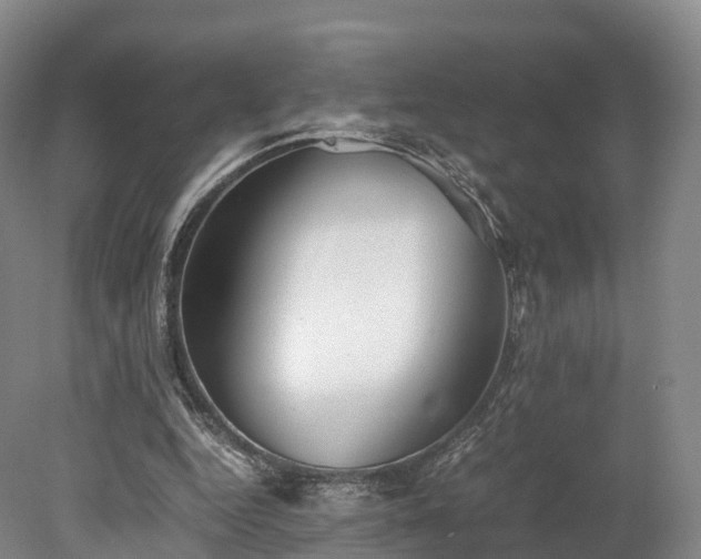 X0000078240344200611101041