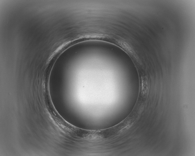 X0000078240348200611101041