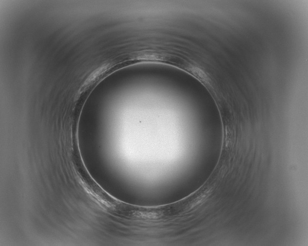 X0000078240349200611101041