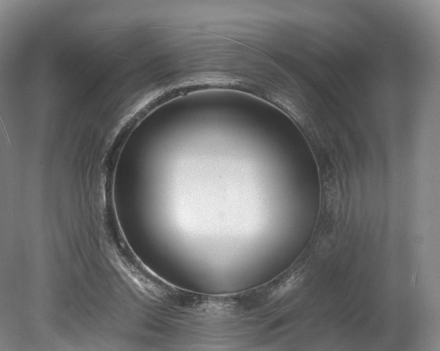 X0000078240350200611101041