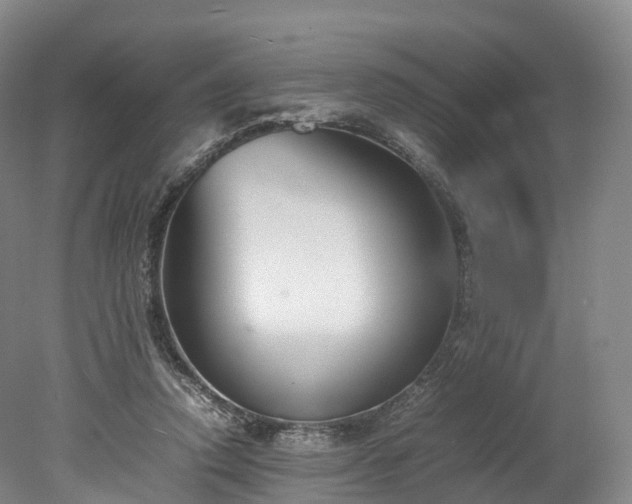 X0000078240354200611101041