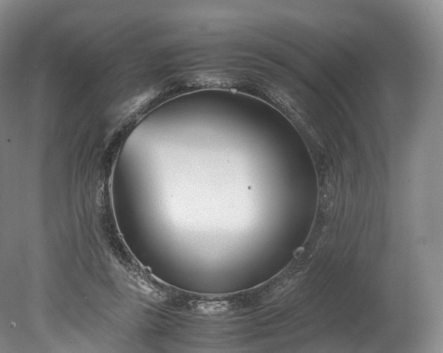 X0000078240355200611101041