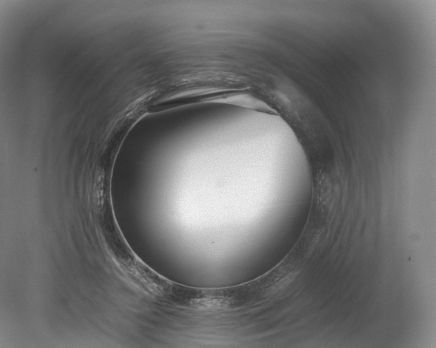 X0000078240356200611101041
