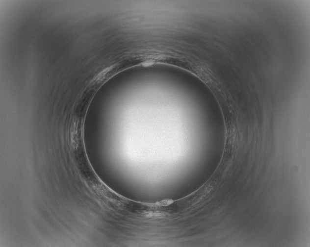 X0000078240360200611101041