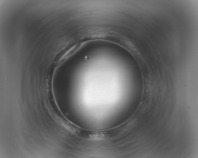 X0000078240362200611101041