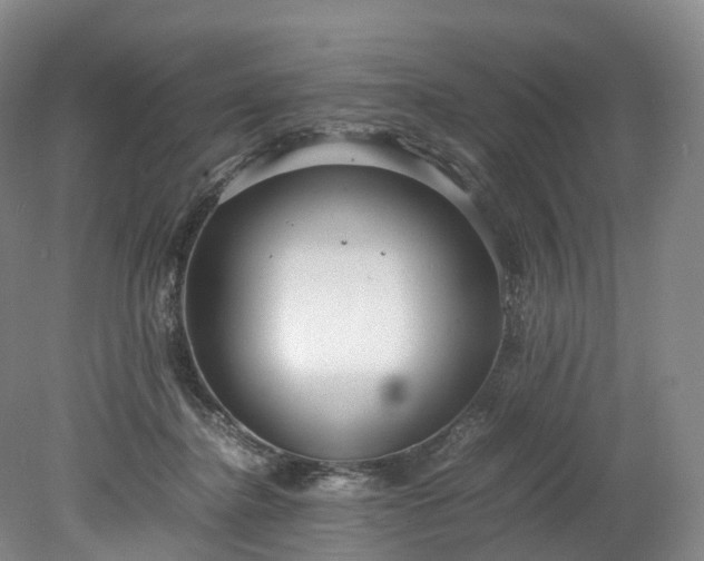 X0000078240364200611101041