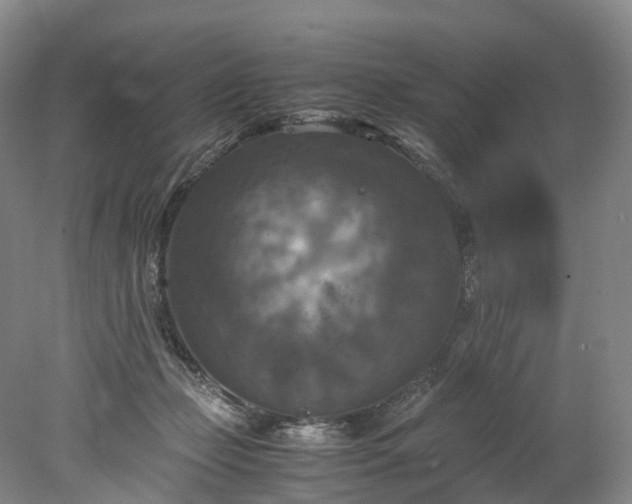 X0000078240365200611101041