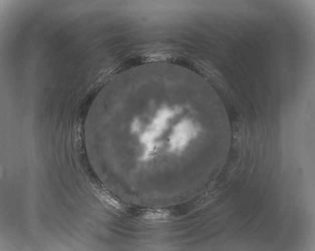 X0000078240369200611101041