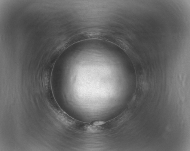 X0000078240372200611101042