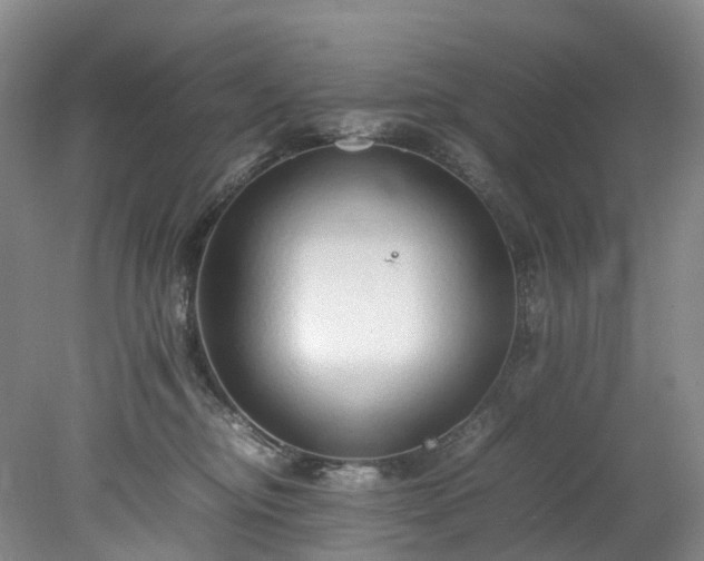 X0000078240374200611101042