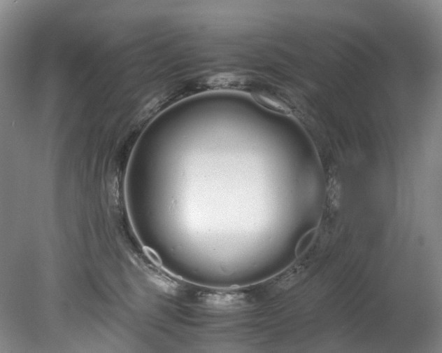 X0000078240375200611101042