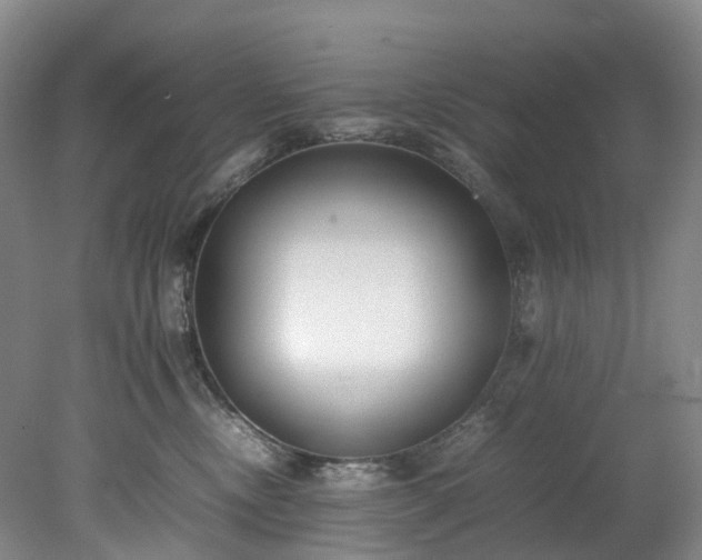 X0000078240378200611101042