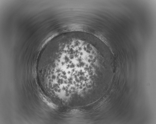 X0000078240390200611101041