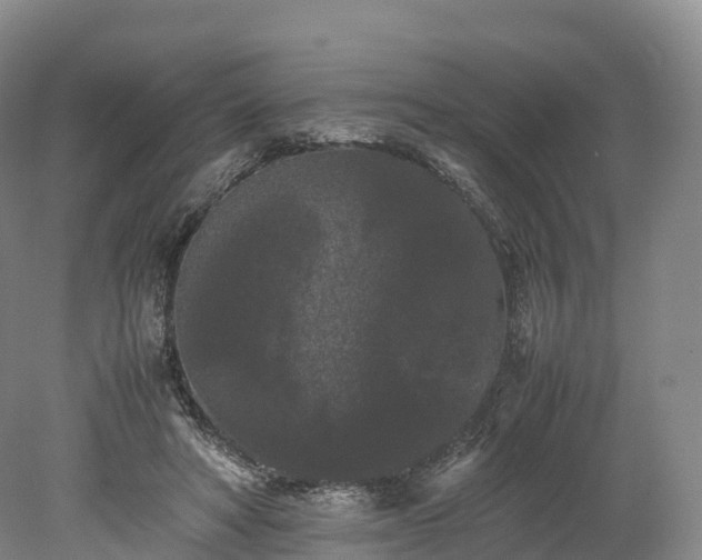 X0000078240402200611101041