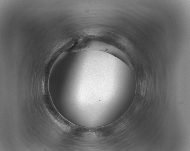 X0000078240404200611101041