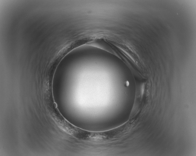 X0000078240407200611101041